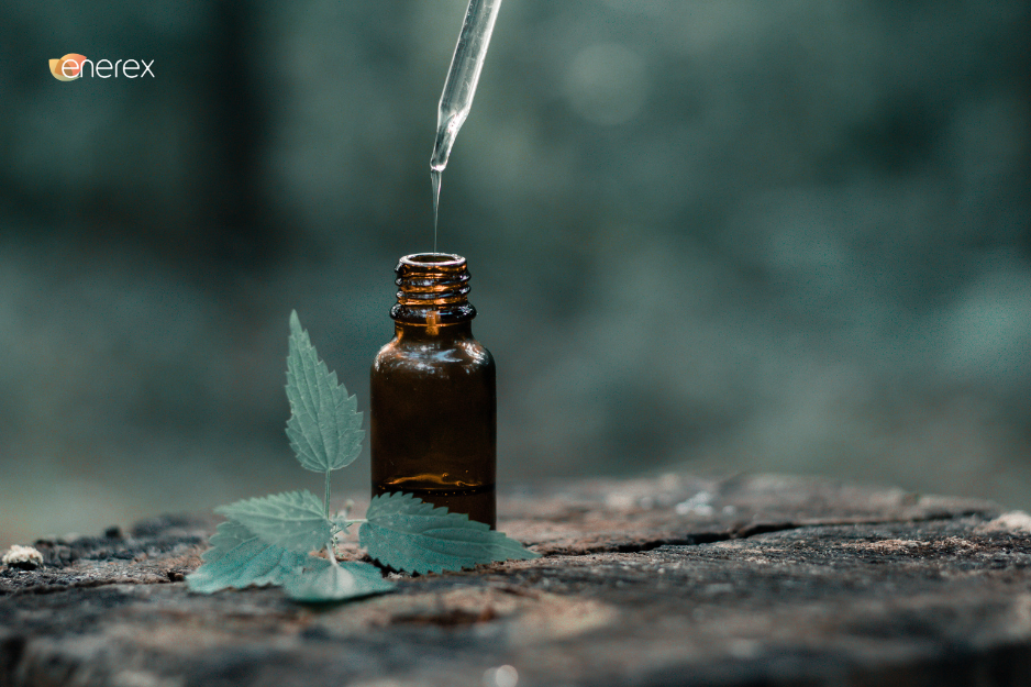 Easy-to-Follow Natural Tick Repellent Recipes Using Black Seed Oil
&ndash; Enerex Botanicals
