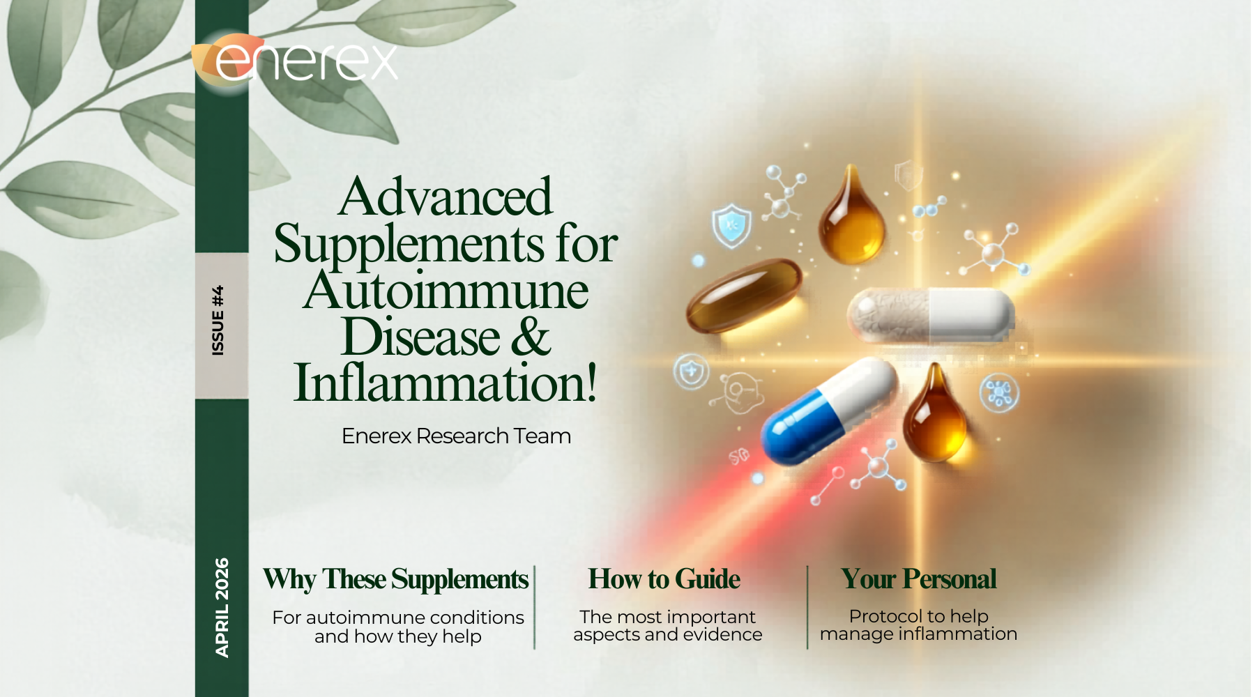 Best Supplements for Autoimmune Diseases Evidence-Based Support for Inflammation, Joint Pain, and Gut Health