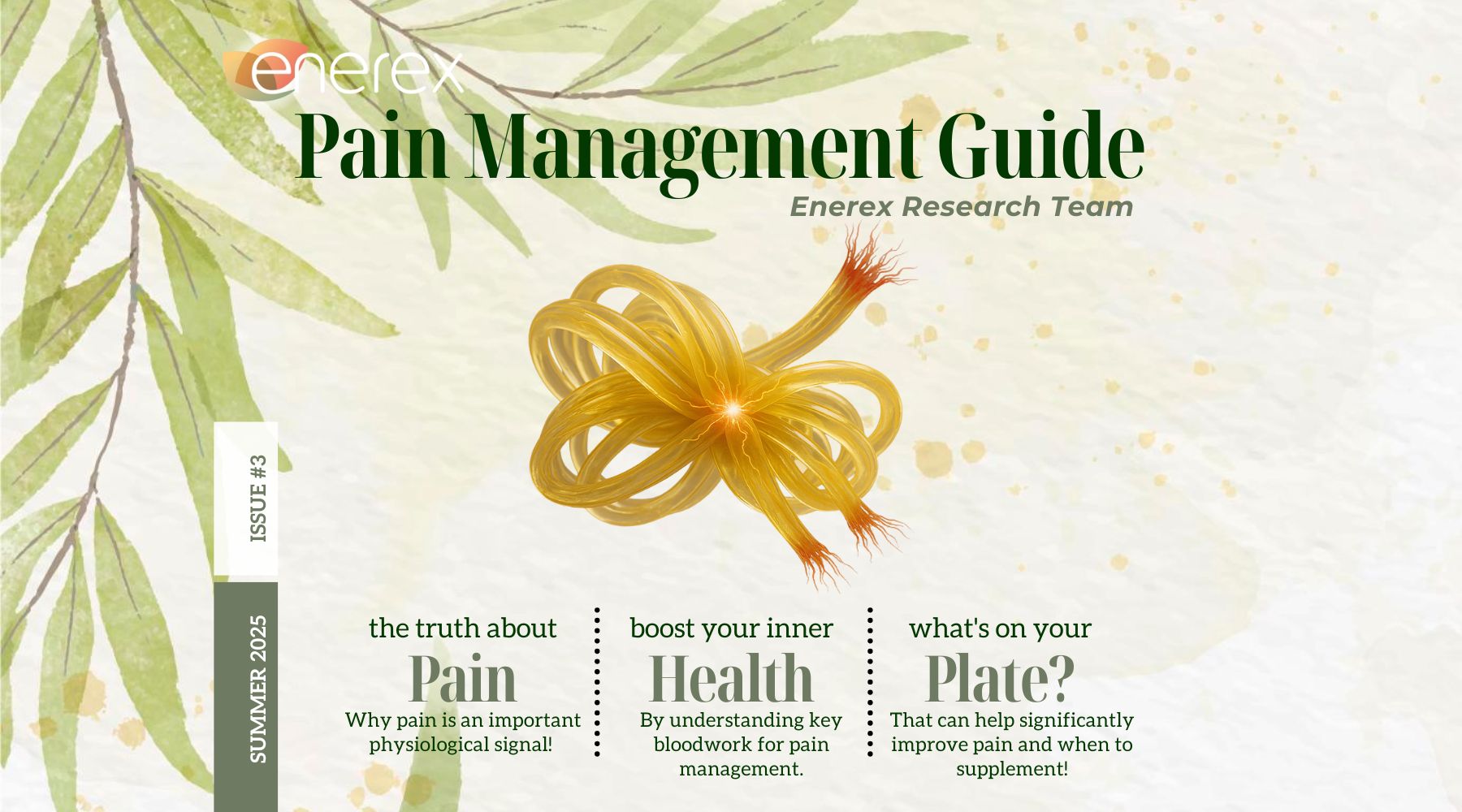 How to manage pain?