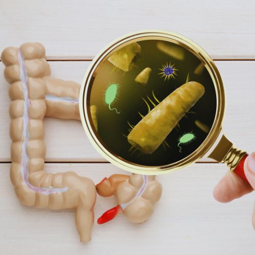 magnifying glass on gut bacteria showing poor gut health bacteria 