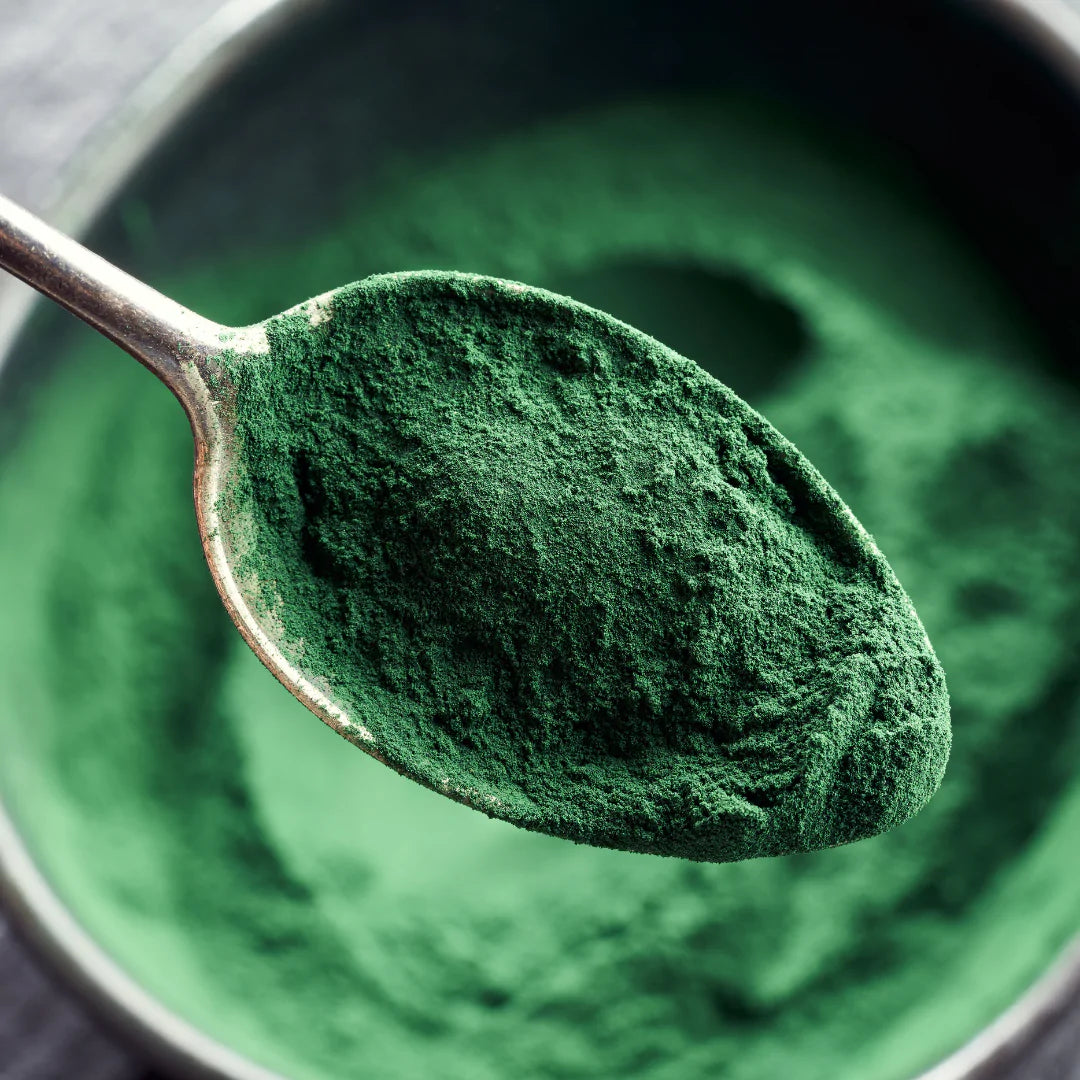 Greens Powder That is More Nutritious Than AG1