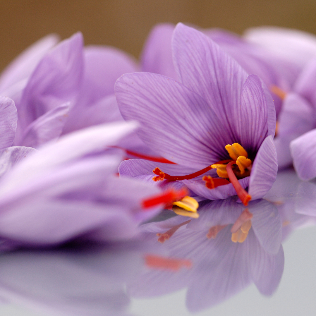 Is Saffron an Effective Natural Treatment for ADHD?