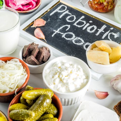 probiotic foods to help gut regulation and hemorrhoid relief