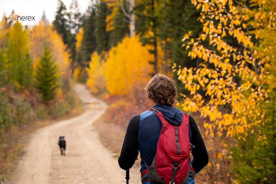 man is hiking with dog in the fall